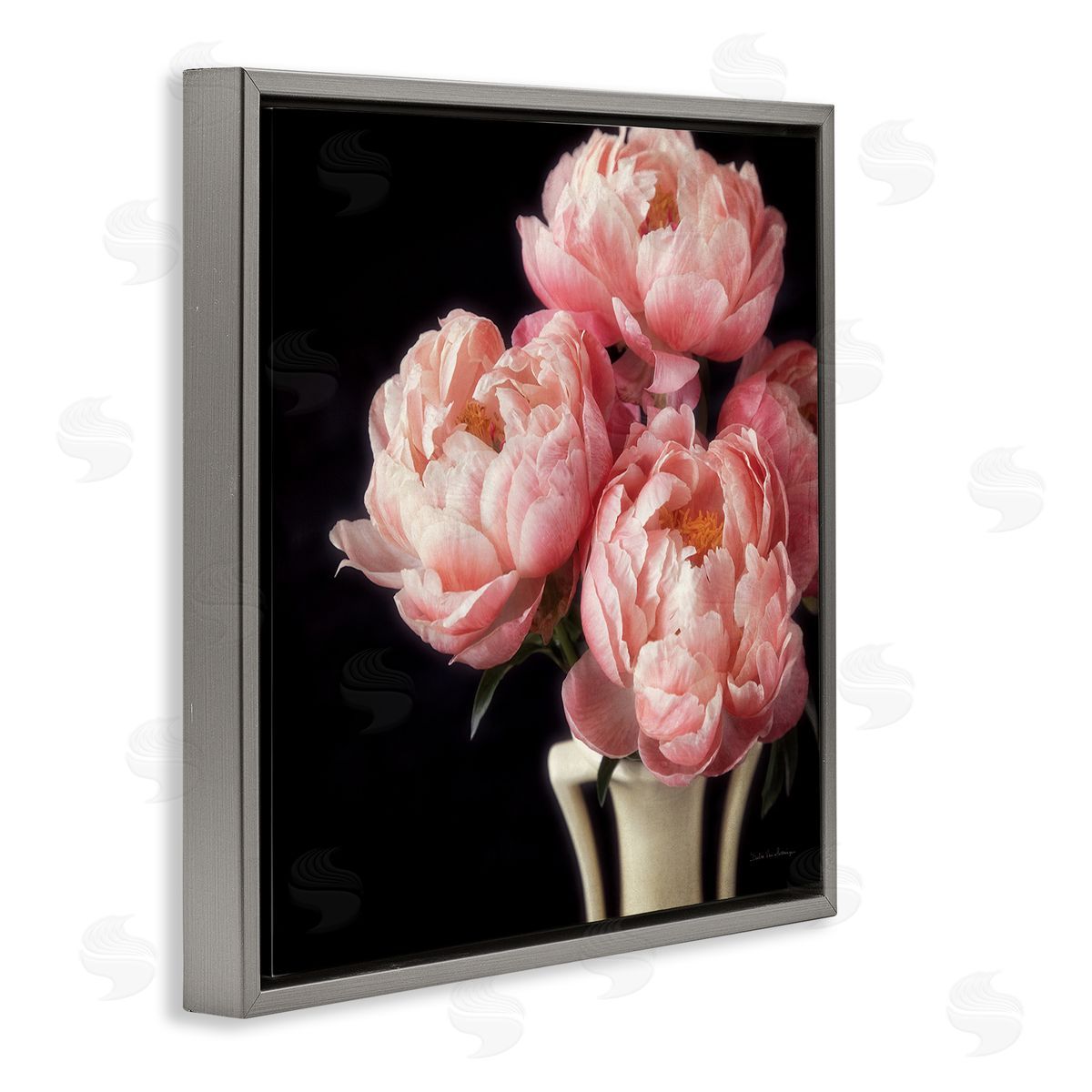 Debra Van Swearingen Three Peonies Photography Gray Floater Frame Canvas Artside_