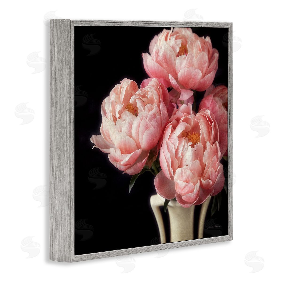 Debra Van Swearingen Three Peonies Photography Gray Framed Giclee Wall Artside_