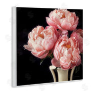 Debra Van Swearingen | Three Peonies Photography