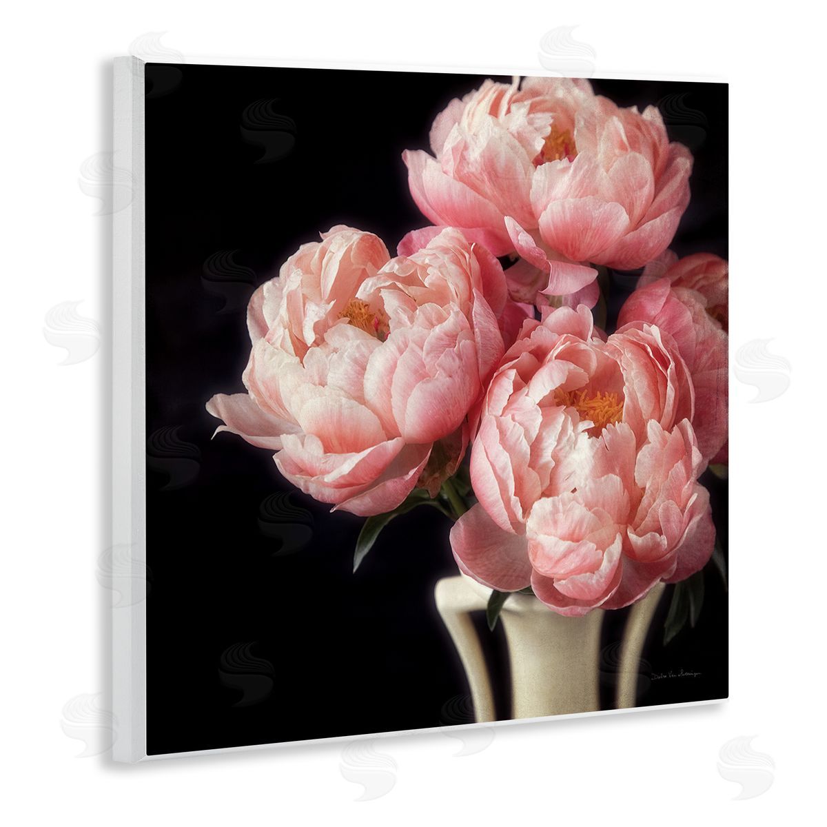 Debra Van Swearingen | Three Peonies Photography
