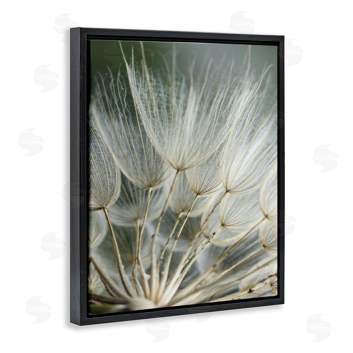 Renee W. Stramel Soft Dandelion Photography Black Floater Frame Canvas Artside_