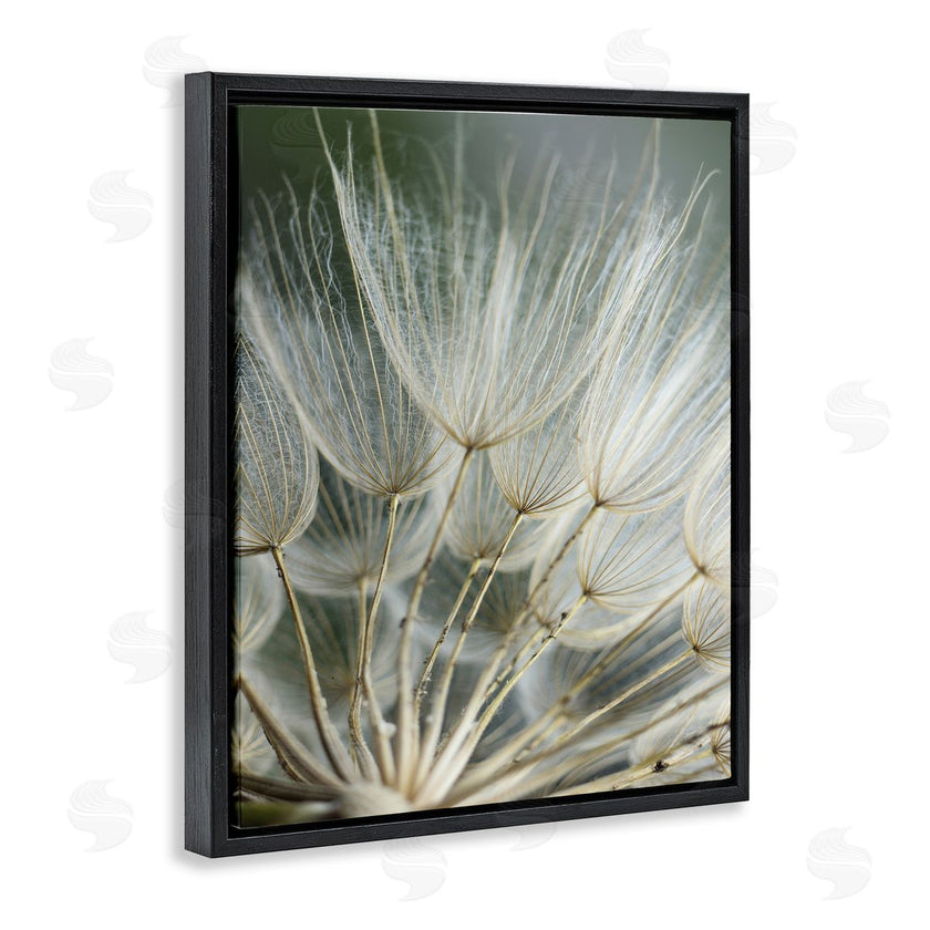 Renee W. Stramel | Soft Dandelion Photography