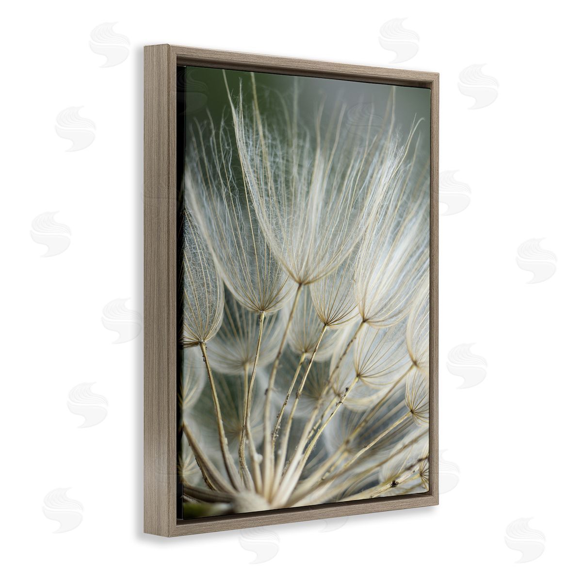 Renee W. Stramel Soft Dandelion Photography Brown Floater Frame Canvas Artside_