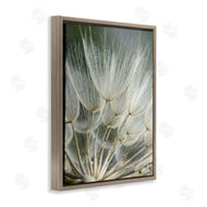 Renee W. Stramel | Soft Dandelion Photography