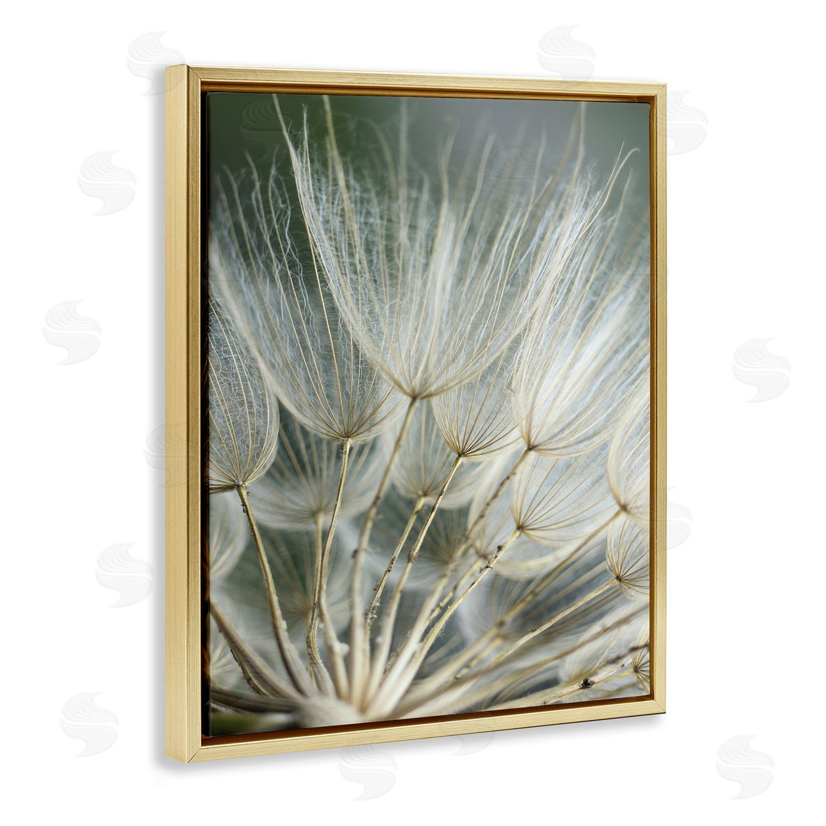 Renee W. Stramel Soft Dandelion Photography Gold Floater Frame Canvas Artside_