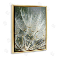 Renee W. Stramel | Soft Dandelion Photography