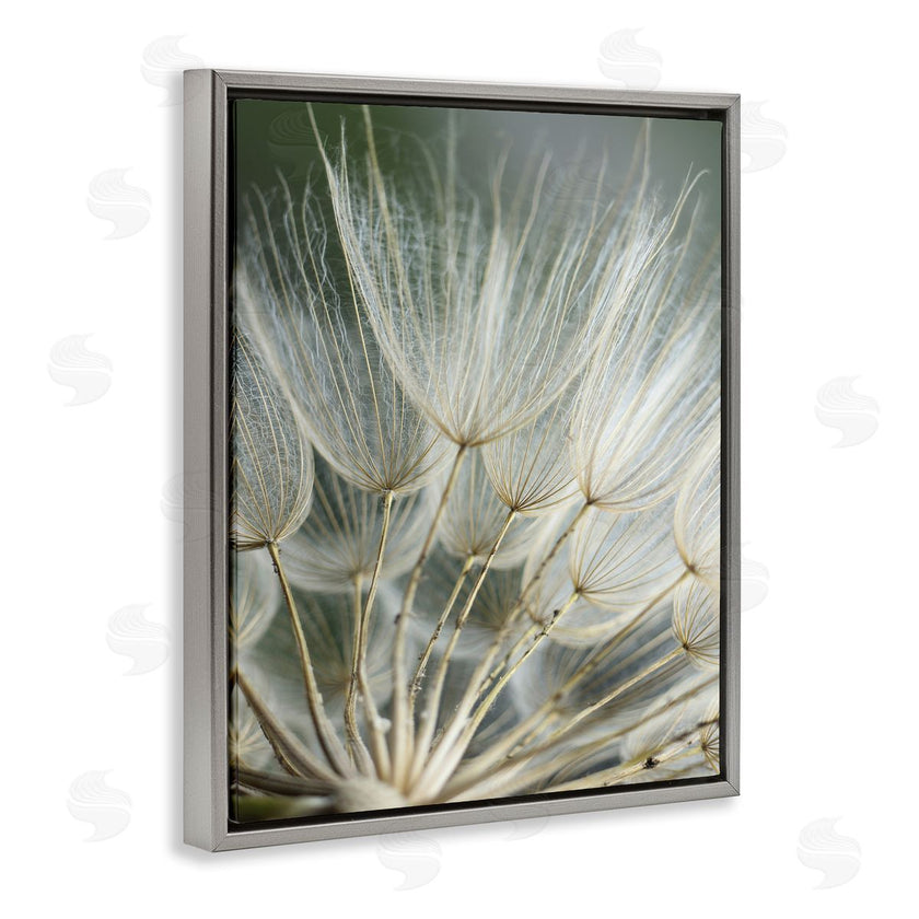 Renee W. Stramel | Soft Dandelion Photography