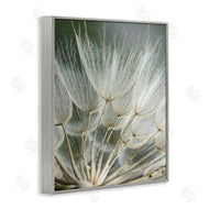 Renee W. Stramel | Soft Dandelion Photography