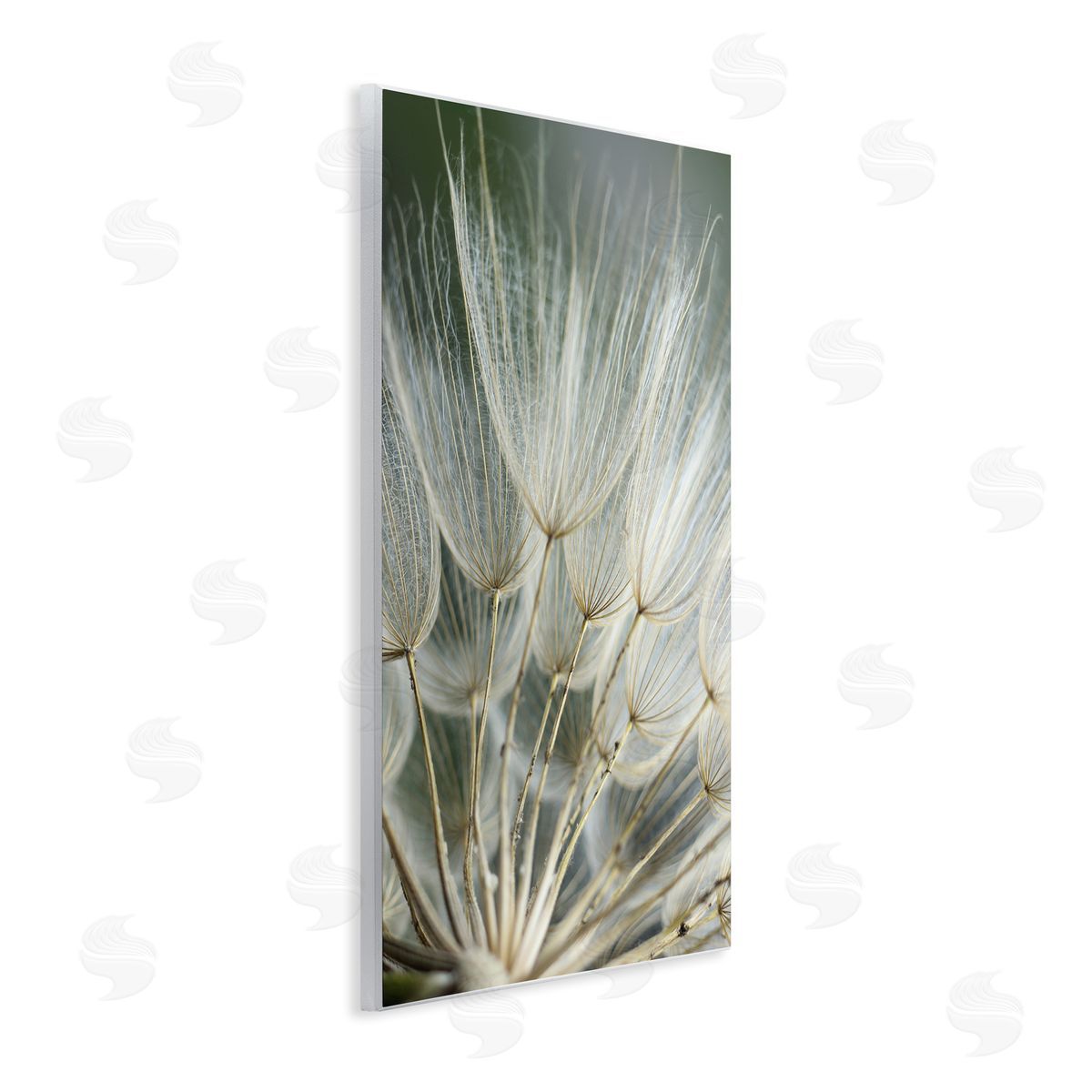 Renee W. Stramel | Soft Dandelion Photography