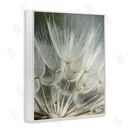 Renee W. Stramel | Soft Dandelion Photography