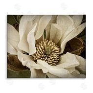 Rachel Perry | Rustic Flower Close Up
