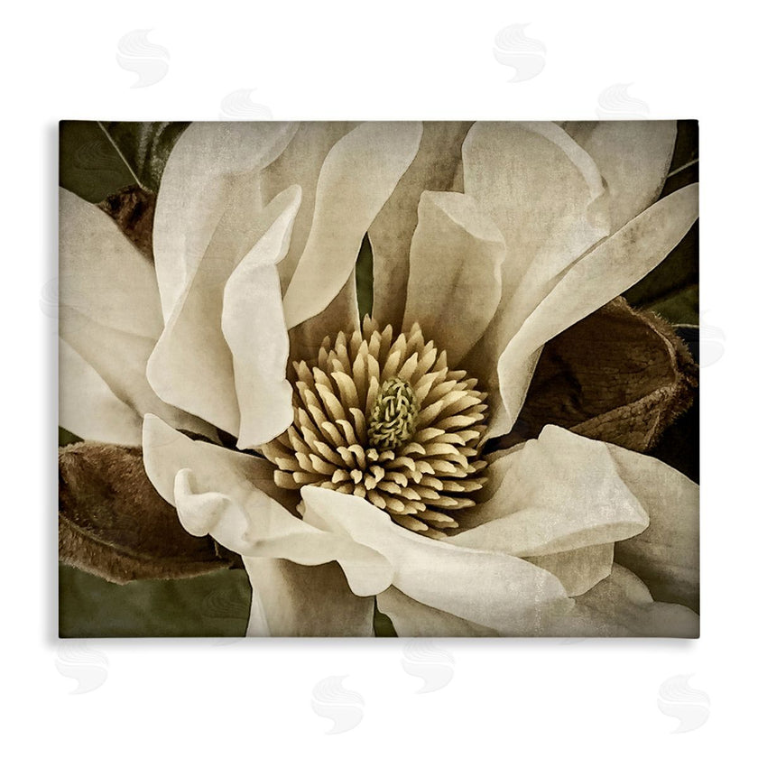 Rachel Perry | Rustic Flower Close Up