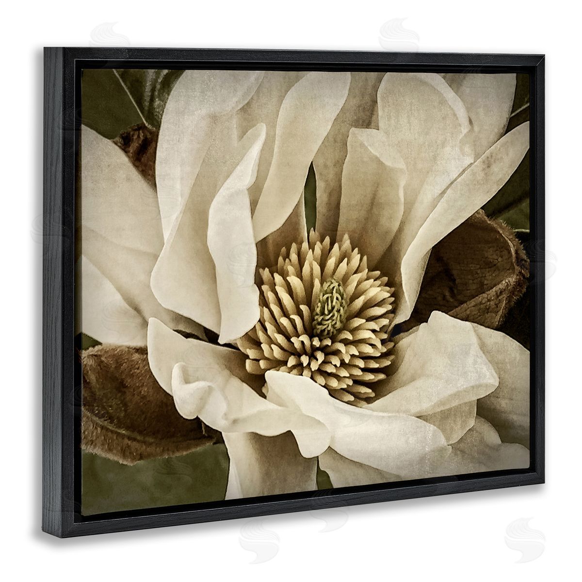 Rachel Perry Rustic Flower Close Up Black Floater Frame Canvas Artside_