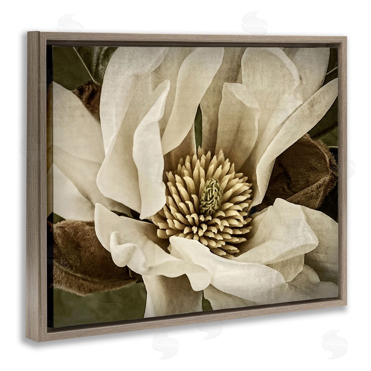 Rachel Perry Rustic Flower Close Up Brown Floater Frame Canvas Artside_