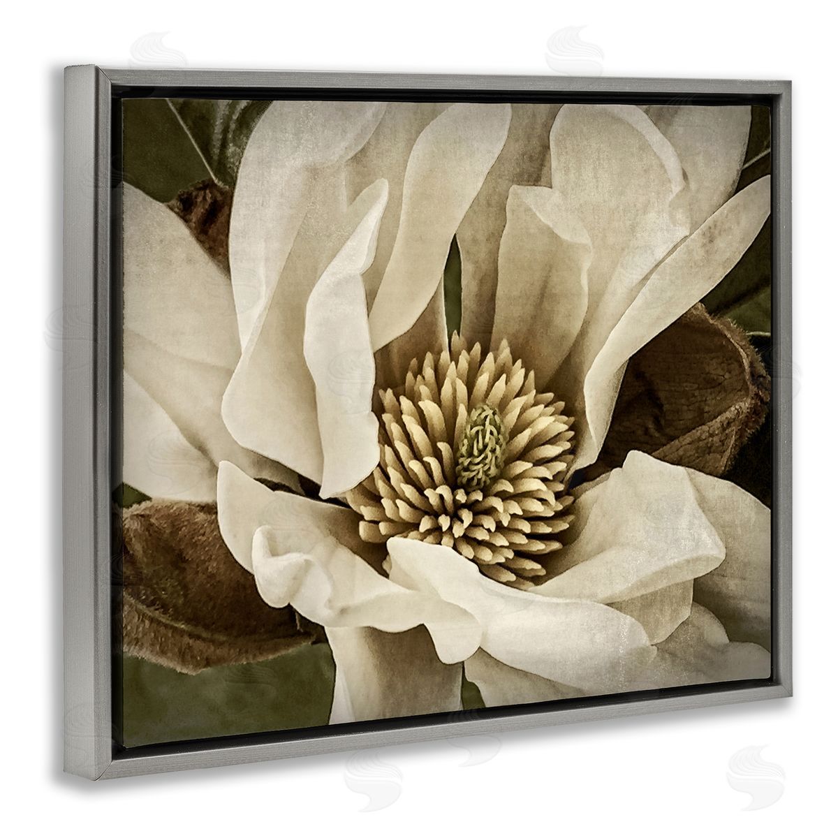 Rachel Perry Rustic Flower Close Up Gray Floater Frame Canvas Artside_