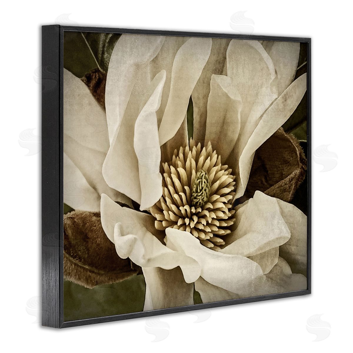 Rachel Perry | Rustic Flower Close Up