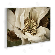 Rachel Perry | Rustic Flower Close Up