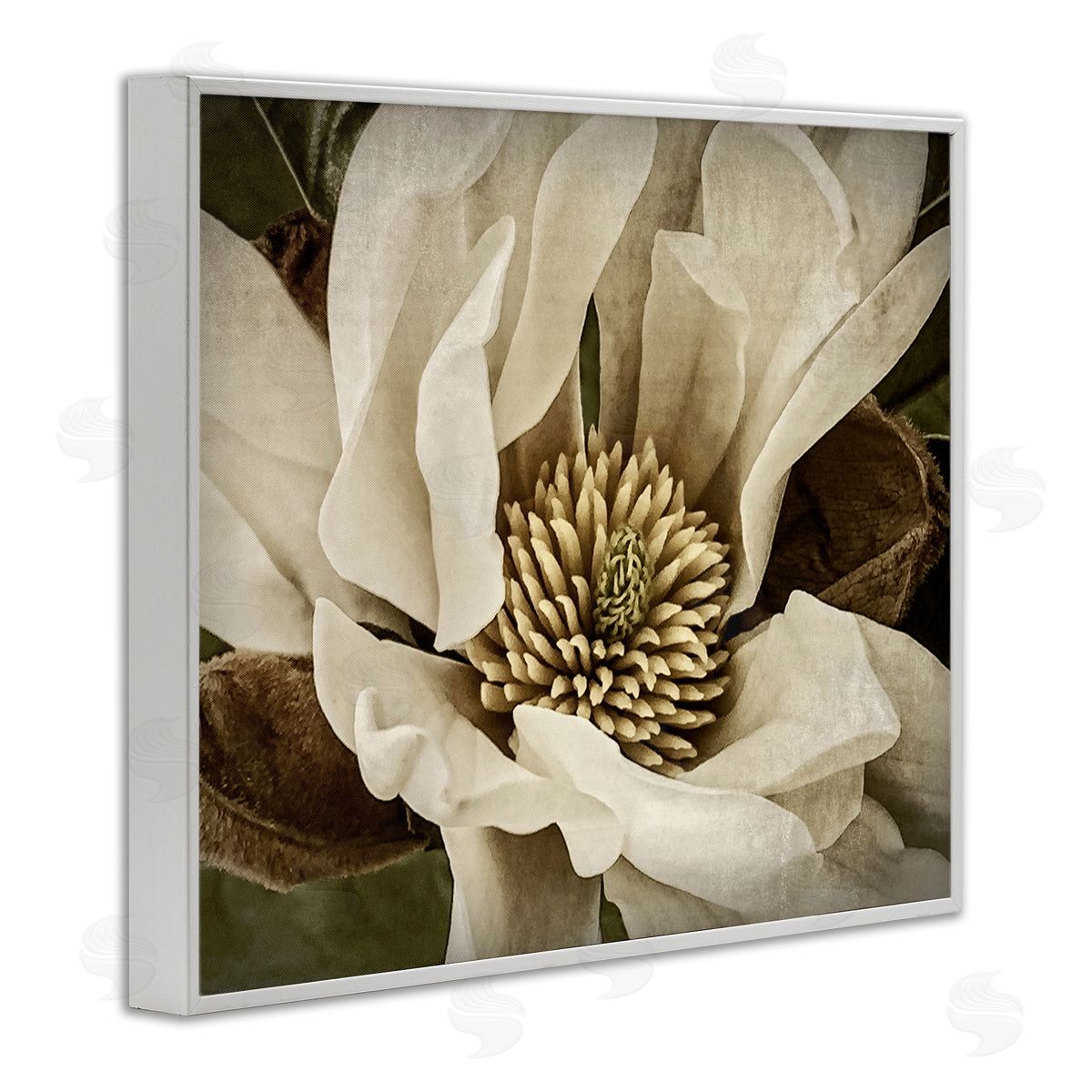 Rachel Perry Rustic Flower Close Up White Framed Giclee Wall Artside_