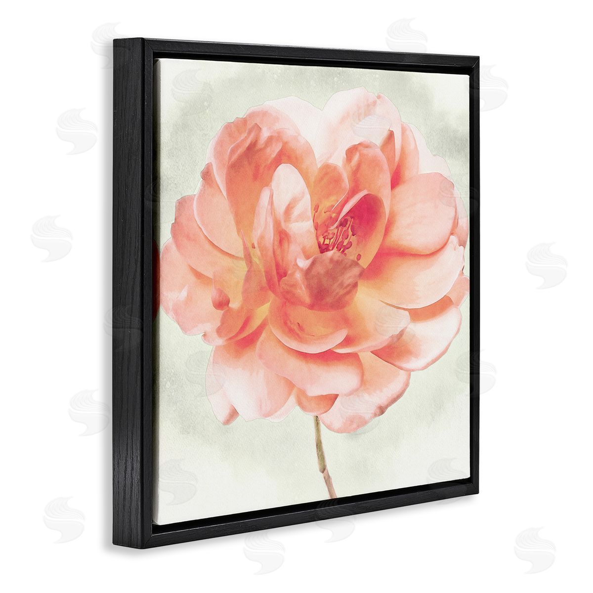 Christine Zalewski | Soft Pink Dahlia