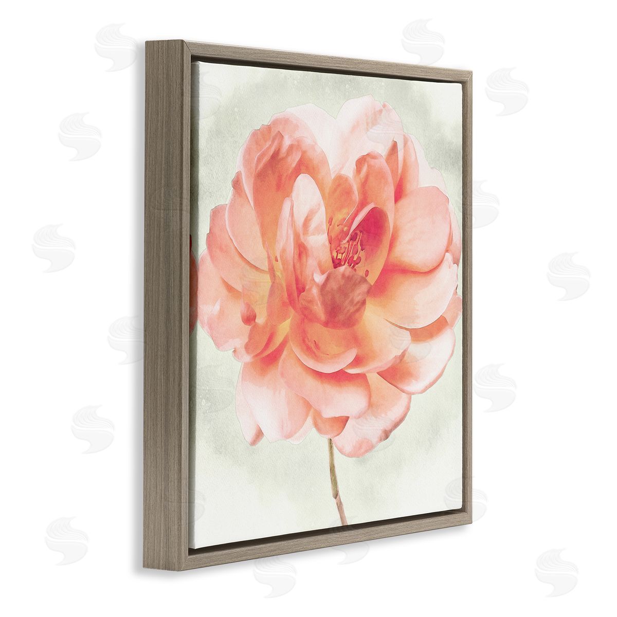 Christine Zalewski | Soft Pink Dahlia