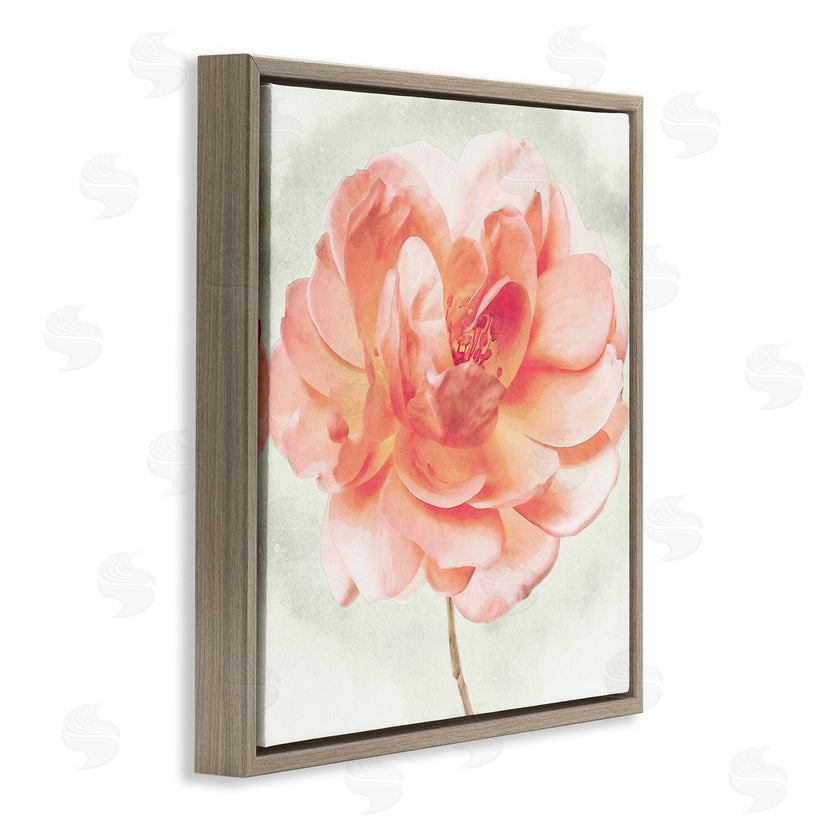 Christine Zalewski | Soft Pink Dahlia