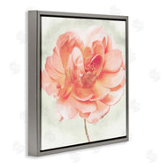 Christine Zalewski | Soft Pink Dahlia