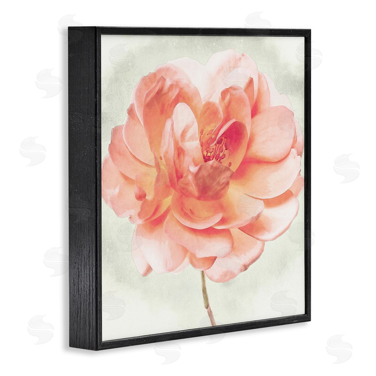 Christine Zalewski Soft Pink Dahlia Black Framed Giclee Wall Artside_