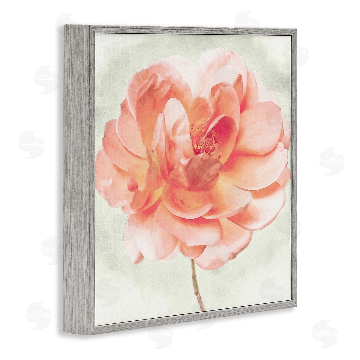 Christine Zalewski | Soft Pink Dahlia