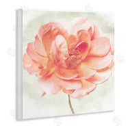 Christine Zalewski | Soft Pink Dahlia