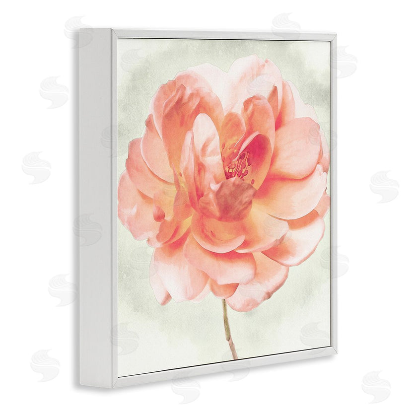 Christine Zalewski | Soft Pink Dahlia