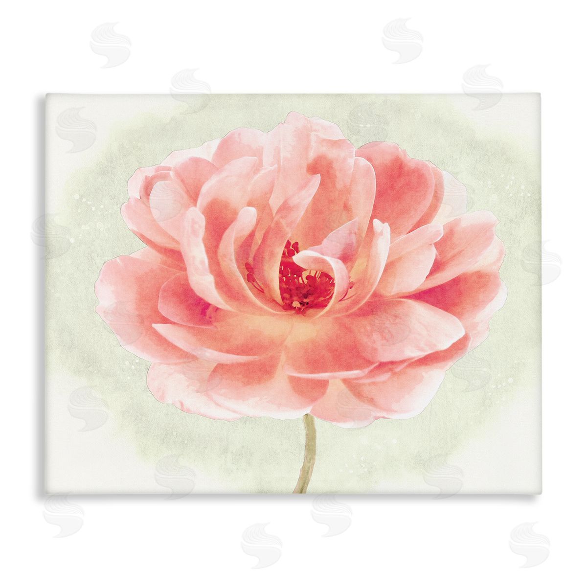 Christine Zalewski Soft Pink Peony Canvas Wall Art