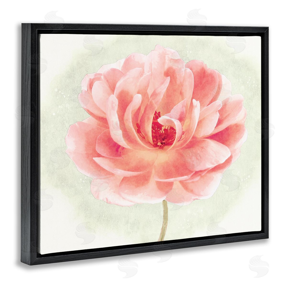 Christine Zalewski | Soft Pink Peony