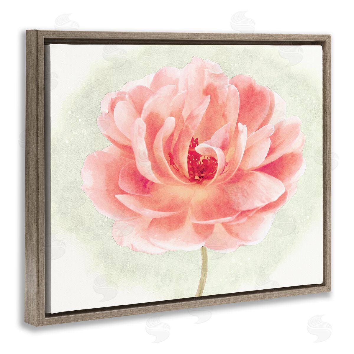 Christine Zalewski Soft Pink Peony Brown Floater Frame Canvas Artside_