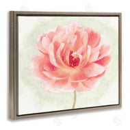 Christine Zalewski | Soft Pink Peony
