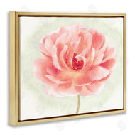Christine Zalewski | Soft Pink Peony