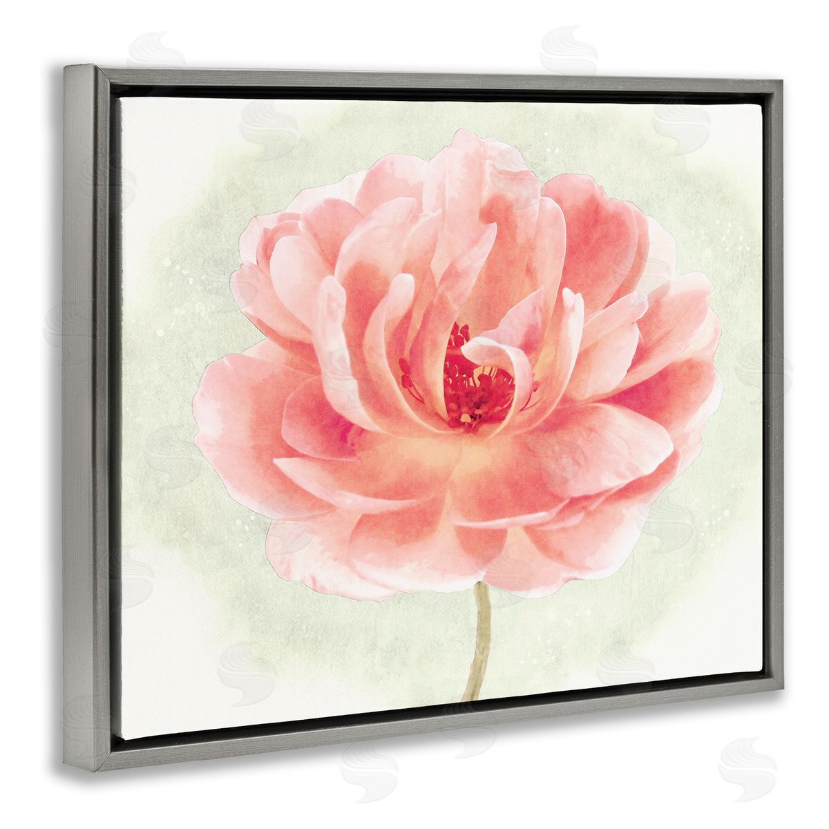 Christine Zalewski Soft Pink Peony Gray Floater Frame Canvas Artside_