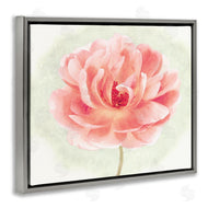 Christine Zalewski | Soft Pink Peony