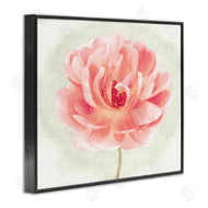 Christine Zalewski | Soft Pink Peony