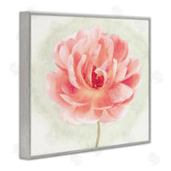 Christine Zalewski | Soft Pink Peony