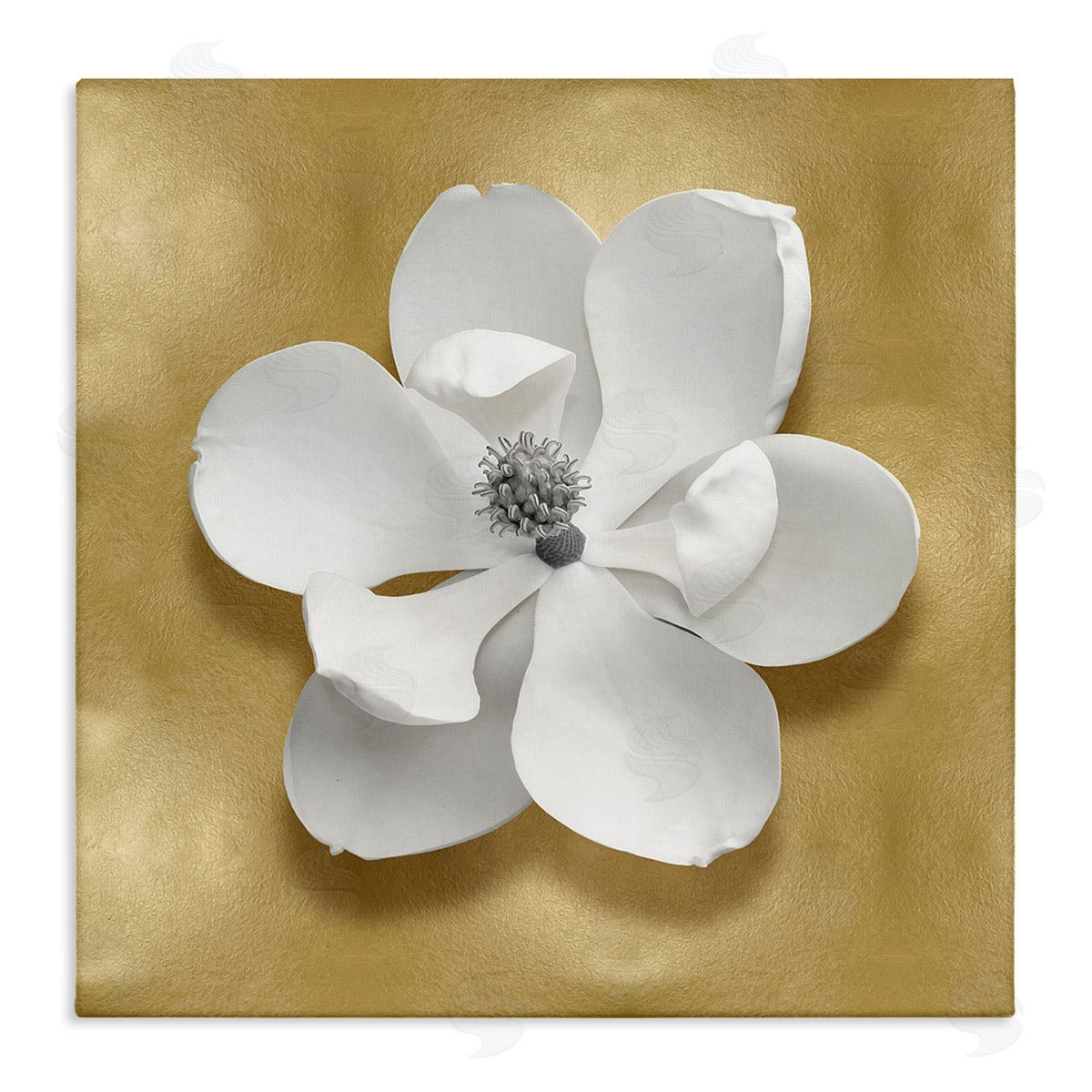 Caroline Kelly White Apple Blossom Canvas Wall Art