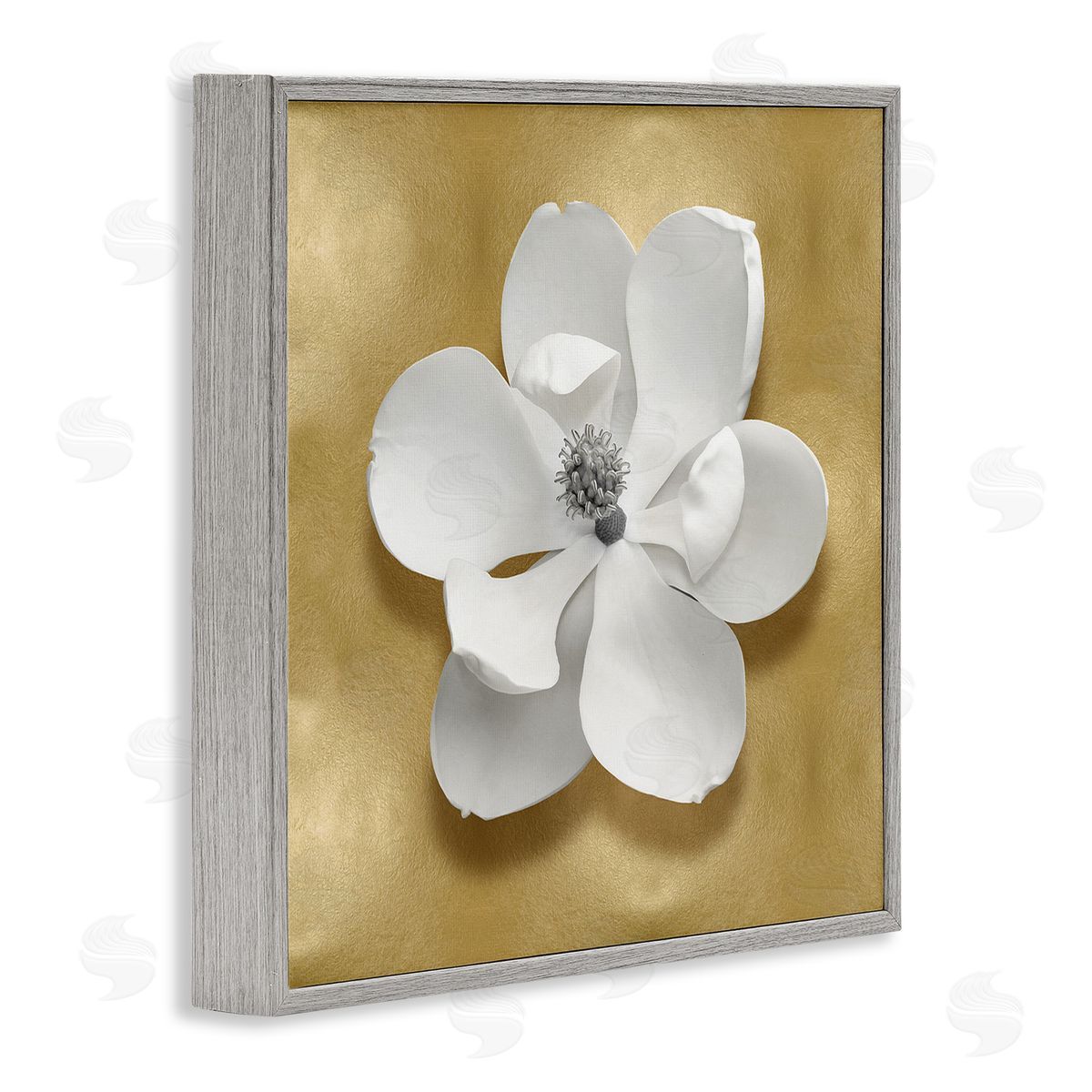 Caroline Kelly | White Apple Blossom