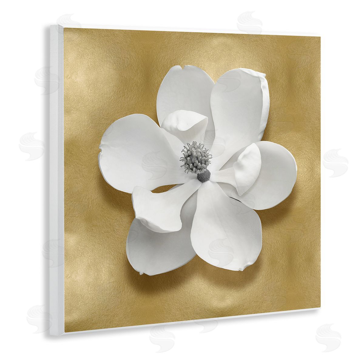 Caroline Kelly White Apple Blossom Wall Plaque Artside_