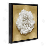 Caroline Kelly | Glam White Carnation