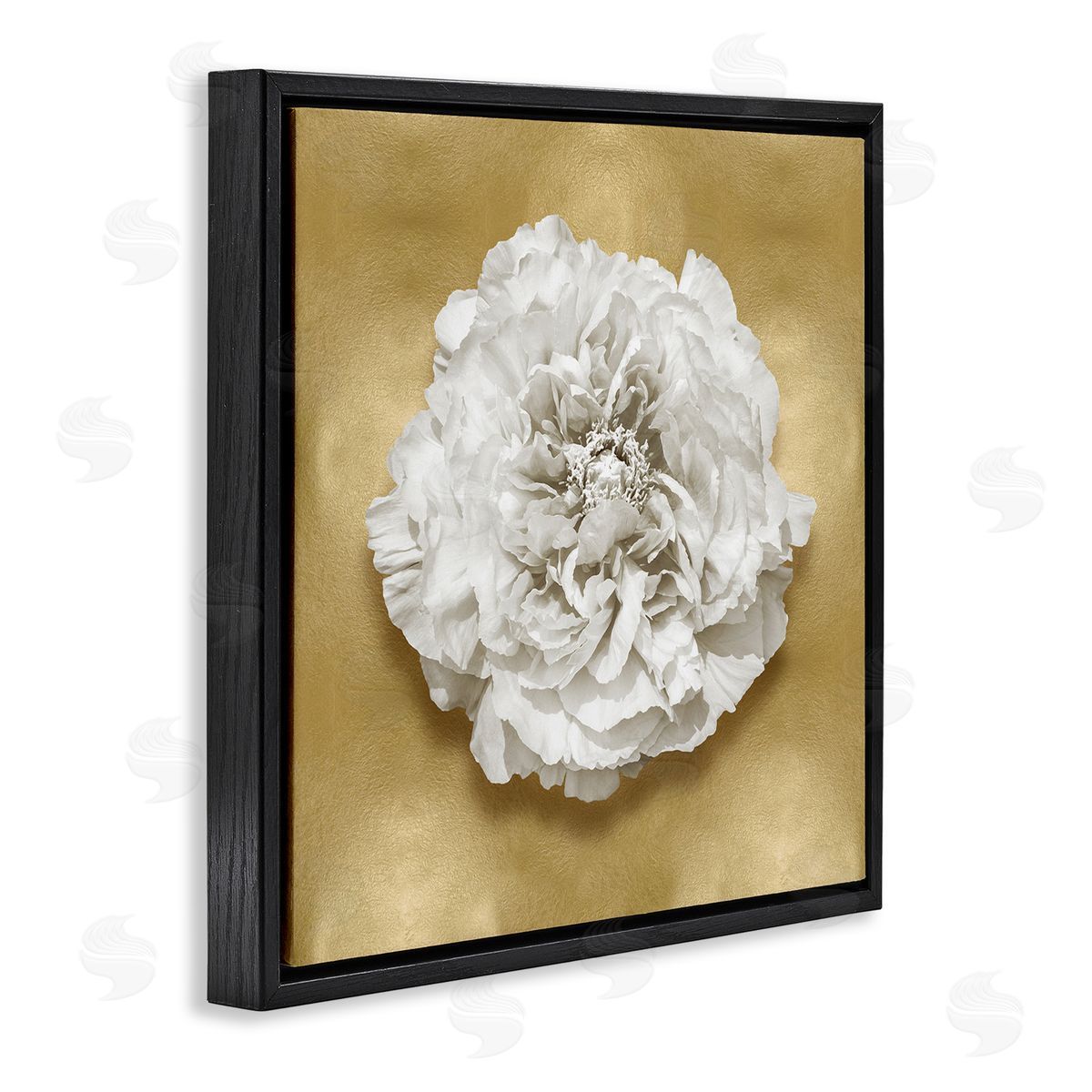 Caroline Kelly | Glam White Carnation