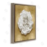 Caroline Kelly | Glam White Carnation