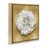 Caroline Kelly | Glam White Carnation