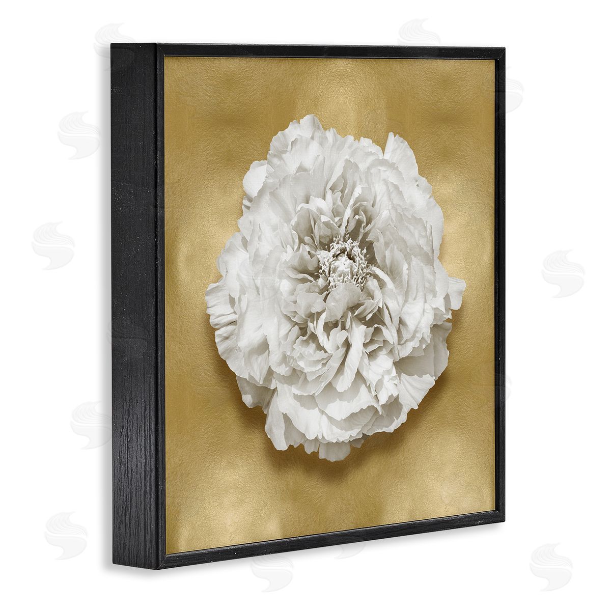 Caroline Kelly | Glam White Carnation