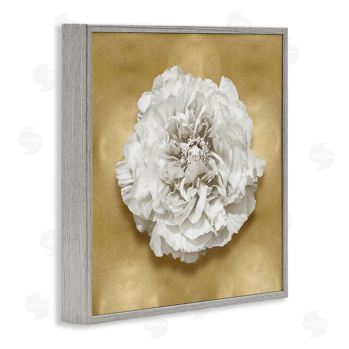 Caroline Kelly Glam White Carnation Gray Framed Giclee Wall Artside_