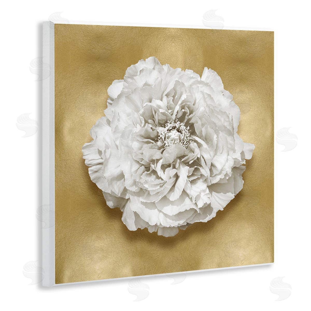 Caroline Kelly Glam White Carnation Wall Plaque Artside_