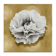 Caroline Kelly | White Peony on Gold